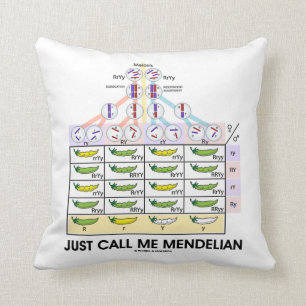 Precis appell mig som är mendelian (Punnett Kudde