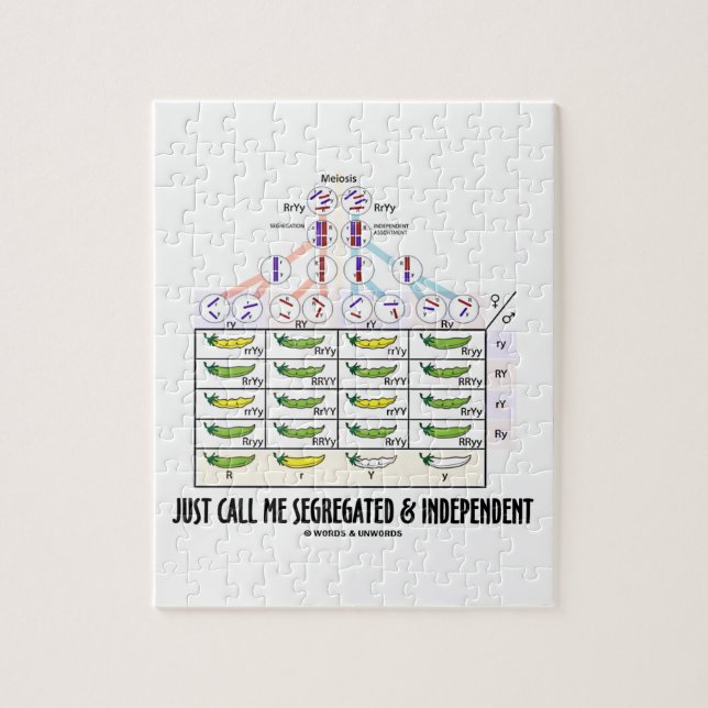 Precis appell mig som är segregerad, och Dihybrid Pussel (Vertikal)