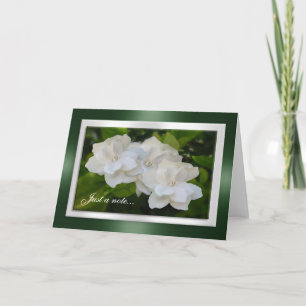 Precis blommar en noterakortGardenia fotografi Kort