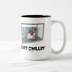 Precis Chillin (tanken för fisken för den Java Två-Tonad Mugg