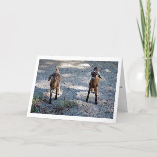 Precis dig och mig unge! kort