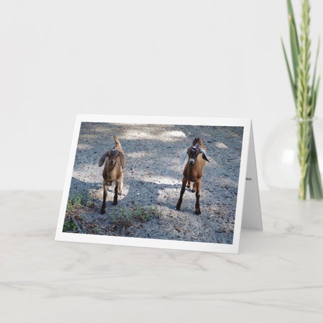 Precis dig och mig unge! kort (Framsida)