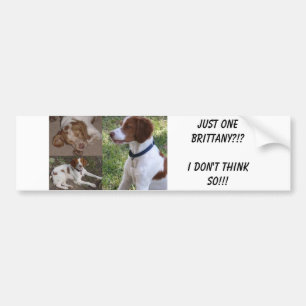 Precis EN Brittany?!? Jag tänker inte så!!! Bildekal
