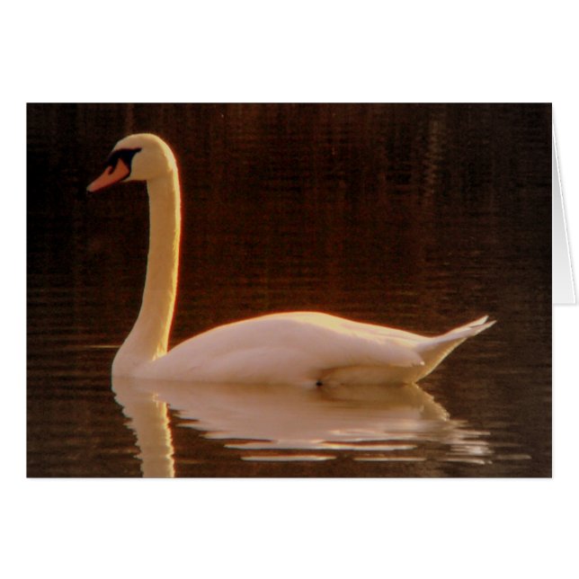 Precis en dröm hälsningskort (Framsidan Horizontal)