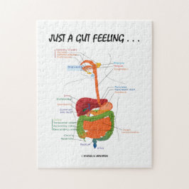 Precis en Gutkänsla.  (Digestivkexsystem) Pussel