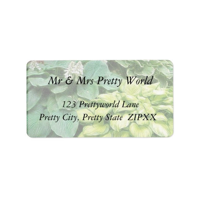 Precis en mer Hosta! Adressetikett (Framsidan)