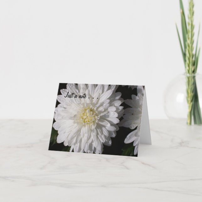 Precis en notera. kort (Framsida)