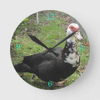 Precis en Qwack i Time Rund Klocka