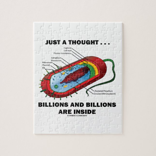 Precis en tanke…, Inre miljarder och miljarder Pussel (Vertikal)