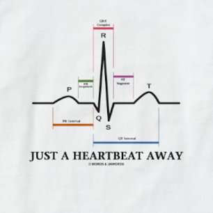 Precis ett hjärtslag bort (EKG/ECG) Tröja