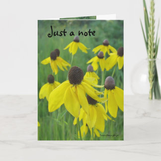Precis ett noterakort/en gula Coneflowers Kort