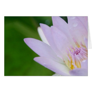 Precis för dig/lotusblomma i fotografi hälsningskort