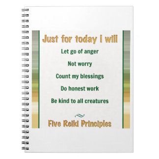 Precis för TodayReiki principer Anteckningsbok