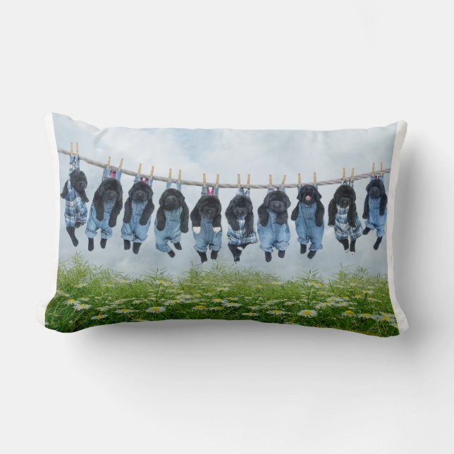 Precis hänga runt om dekorativ kudde (Framsida)