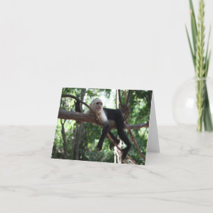 Precis hänga runt om Notecard Kort