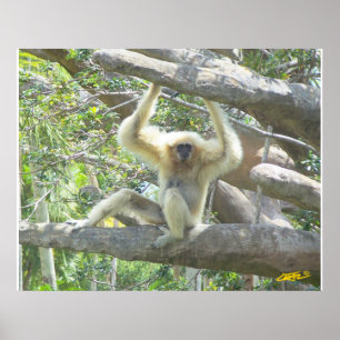 Precis Hangin ut Poster