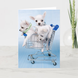 Precis högt ordstäv kort