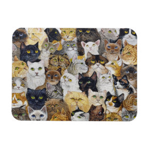 Precis katt Whisker Magnet
