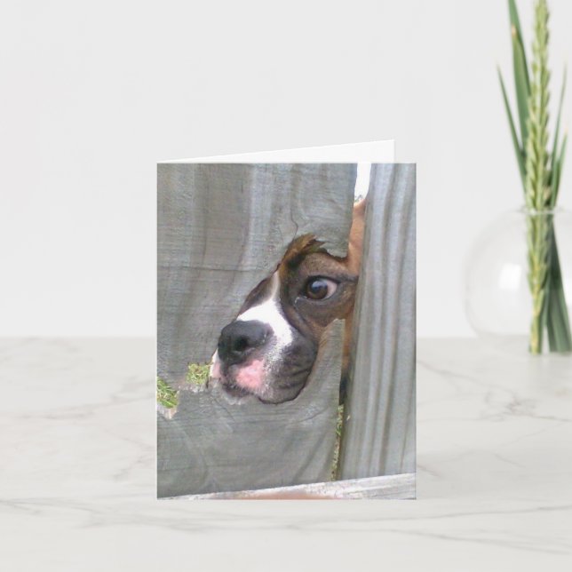 Precis kika in kort (Framsida)