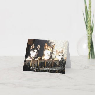 Precis kikat över till något att säga. kort