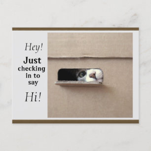 Precis kontrollera vykortet vykort