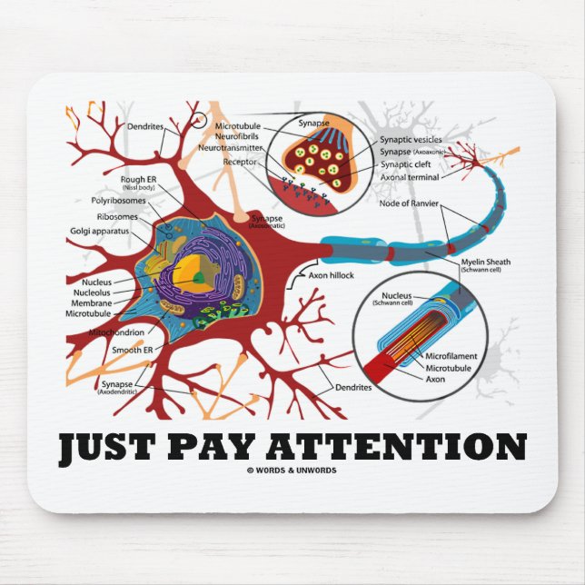 Precis lönuppmärksamhet (Neuron/Synapse) Musmatta (Framsidan)