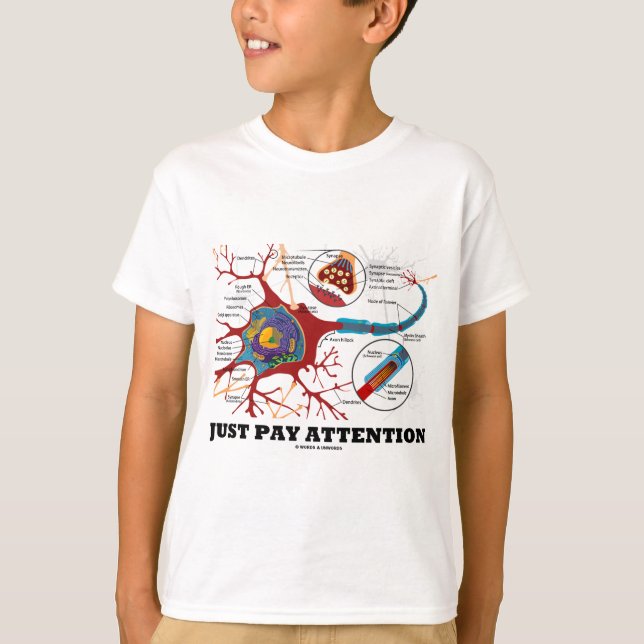 Precis lönuppmärksamhet (Neuron/Synapse) T-shirt (Framsida)