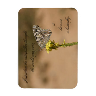 Precis när man tänkte på - Magnet