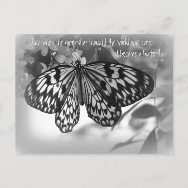 Precis när vattenpelaren tänkte på världen vykort (Framsida)