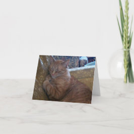 Precis noterar Chillin kortet Kort