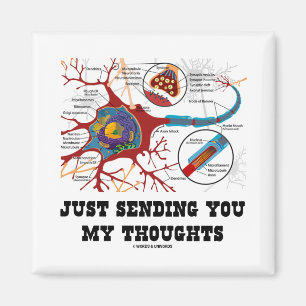 Precis överföra dig min tankar (Neuron/Synapse) Magnet