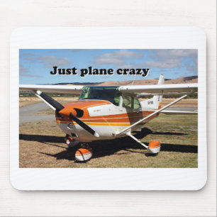 Precis plant galet: Cessna Skyhawk flygplan Musmatta