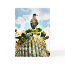 Precis sitting på en saguaro