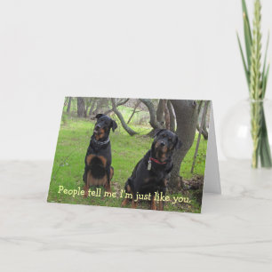 Precis som du Rottweiler Mors dag Card Kort