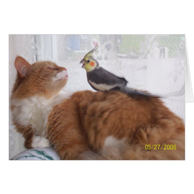 Precis tappa by till den höga något att säga hälsningskort (Framsidan Horizontal)