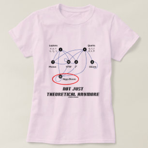 Precis teoretisk Higgs Boson inte Anymore T-shirt