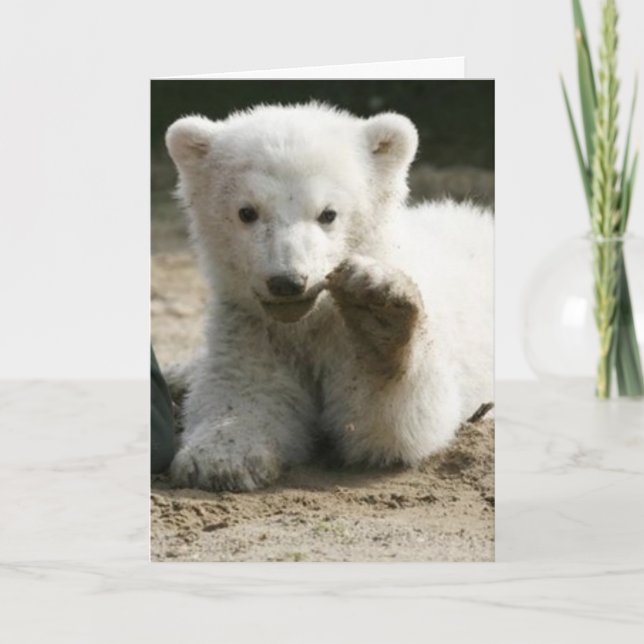 Precis till den höga något att säga kort (Framsida)