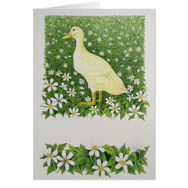 Precis tittar hälsningskort (Framsidan)