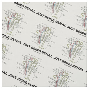 Precis vara Renal Anatomical Nephron humor Tyg