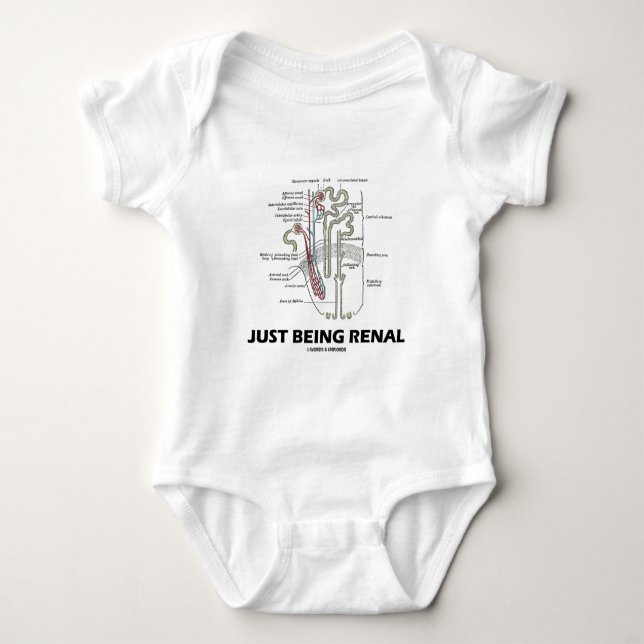 Precis vara Renal (njure Nephron) Tee Shirt (Framsida)