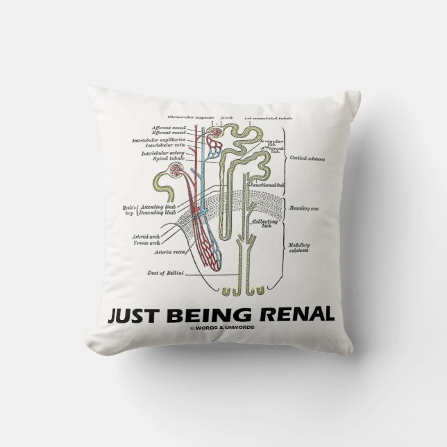 Precis vara Renal (njureNephron den Renal humorn) Kudde (Framsida)
