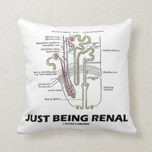 Precis vara Renal (njureNephron den Renal humorn) Kudde
