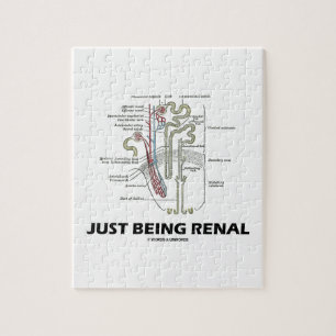 Precis vara Renal (njureNephron den Renal humorn) Pussel
