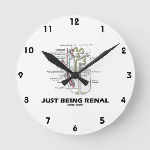 Precis vara Renal (njureNephron den Renal humorn) Rund Klocka