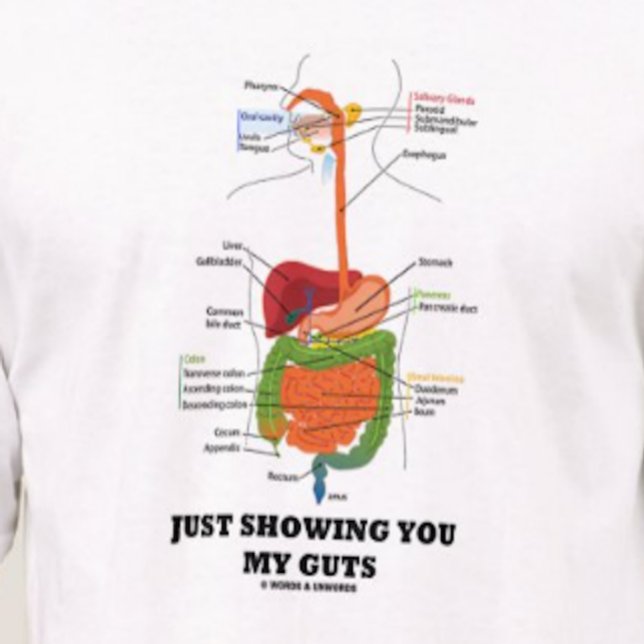 Precis visning dig mitt innanmäte (den svart t-shirt (T-shirt featuring human digestive system for anyone who desires to say "Just Showing You My Guts")
