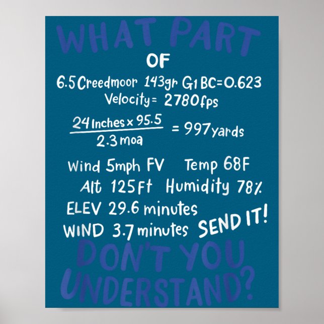 Precision Shooting Funny Gun Shooting Srts Gun Lov Poster (Framsidan)