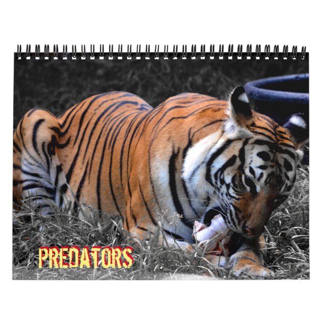 Predator Calendar Kalender (Omslag)