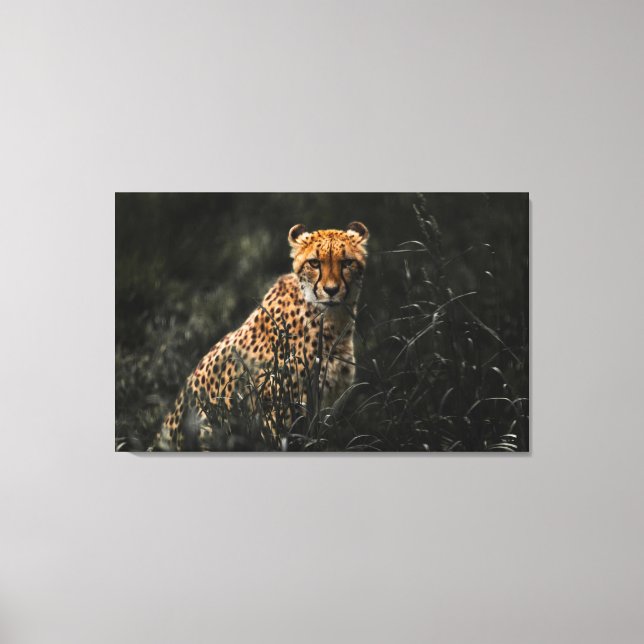 Predator eller Be Staredown Wall Art Canvastryck (Framsida)