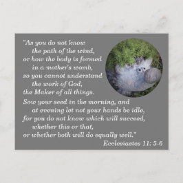 Predikaren 11:6 Bibelvers att memorera Vykort