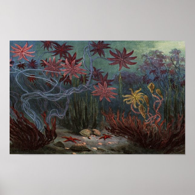 Prehistoric Ocean Poster (Framsidan)